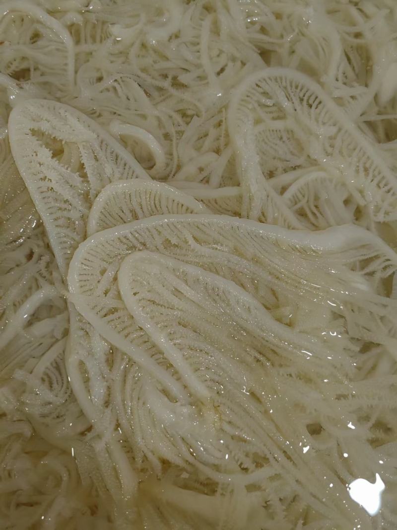 新鲜黑白千层毛肚丝牛百叶毛肚批发涮火锅冒菜食材全套商用