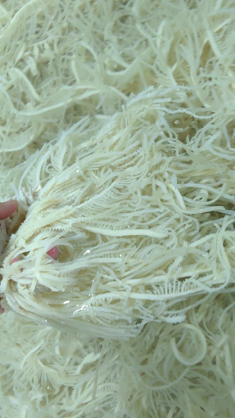 新鲜黑白千层毛肚丝牛百叶毛肚批发涮火锅冒菜食材全套商用