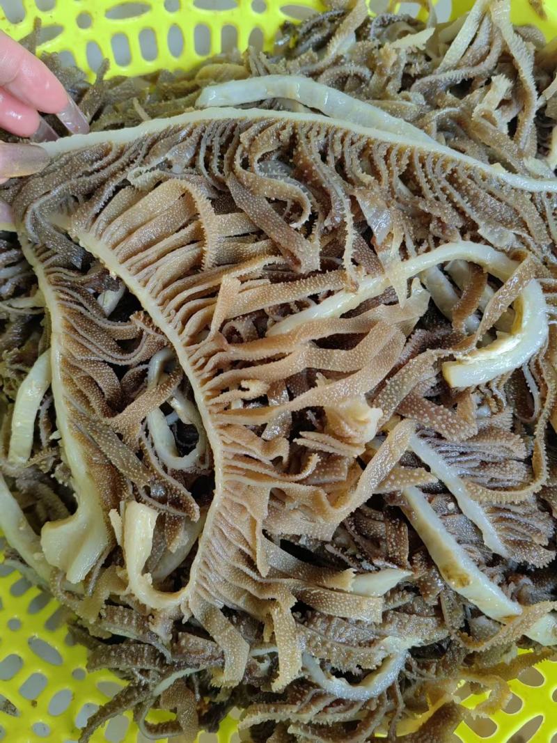 新鲜黑白千层毛肚丝牛百叶毛肚批发涮火锅冒菜食材全套商用