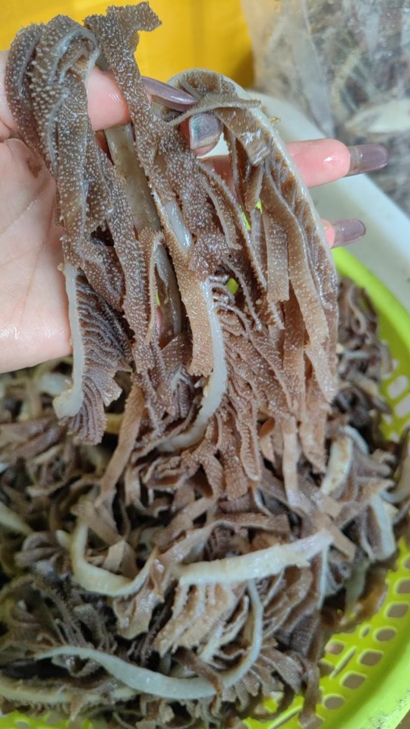 新鲜黑白千层毛肚丝牛百叶毛肚批发涮火锅冒菜食材全套商用