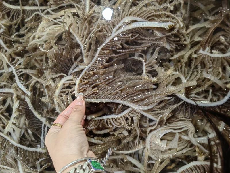 新鲜黑白千层毛肚丝牛百叶毛肚批发涮火锅冒菜食材全套商用
