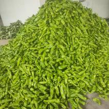 青椒线椒鲜辣椒基地直供，量大从优可对接全国市场