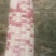 万糯2000粘玉米！500亩开原！