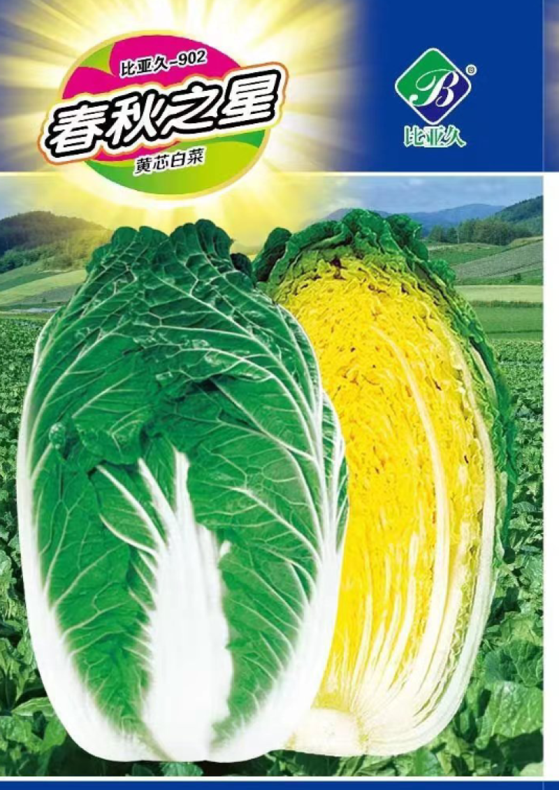 越冬王越冬大白菜种子抗病长势强充心快结球紧耐寒性好