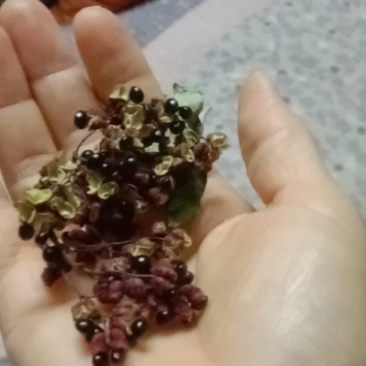 花椒