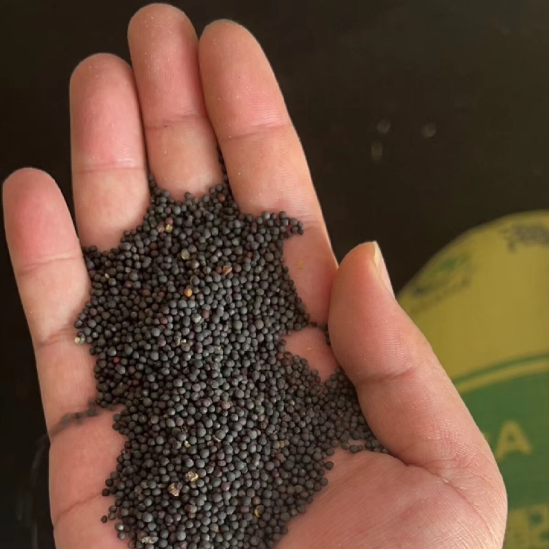 精品油菜籽货源充足水份低出油率高欢迎来电