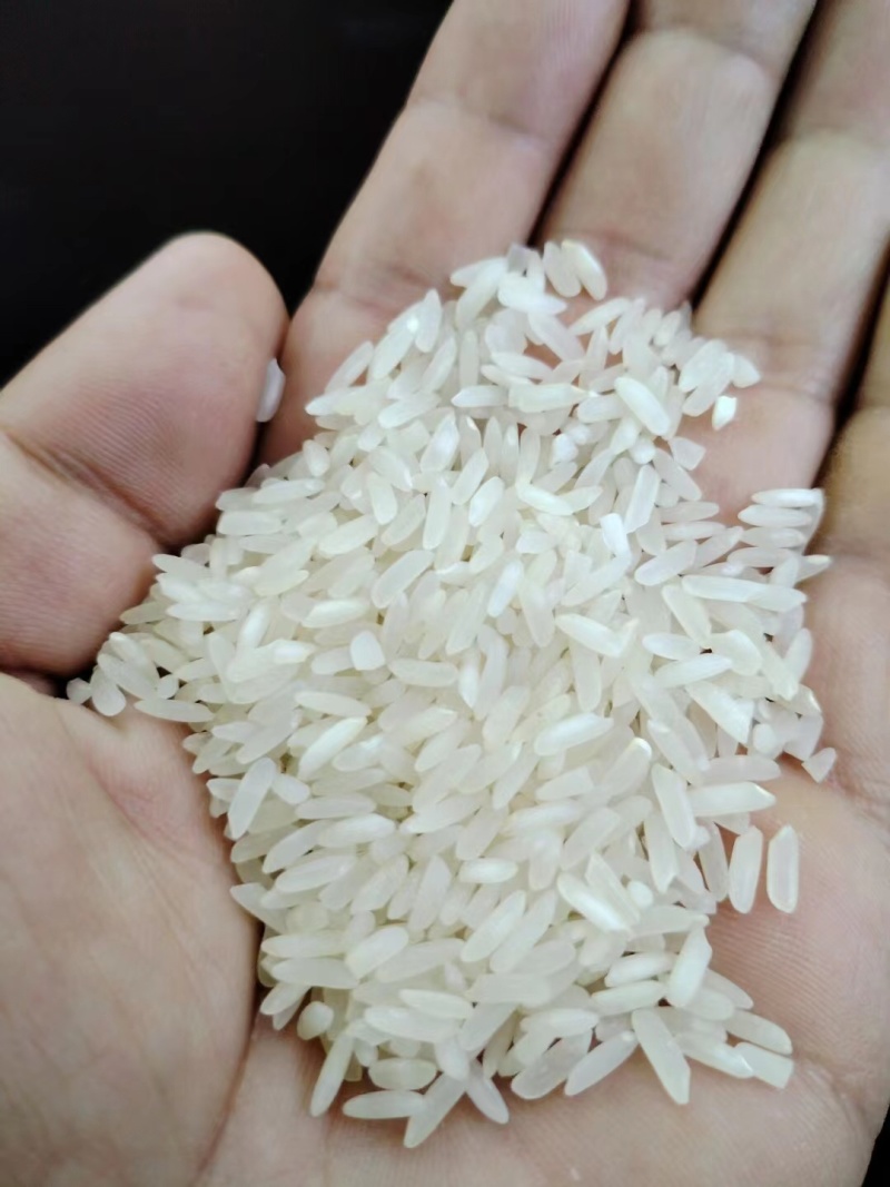 精品珍珠米长粒香厂家现货陈米圆粒米货源充足