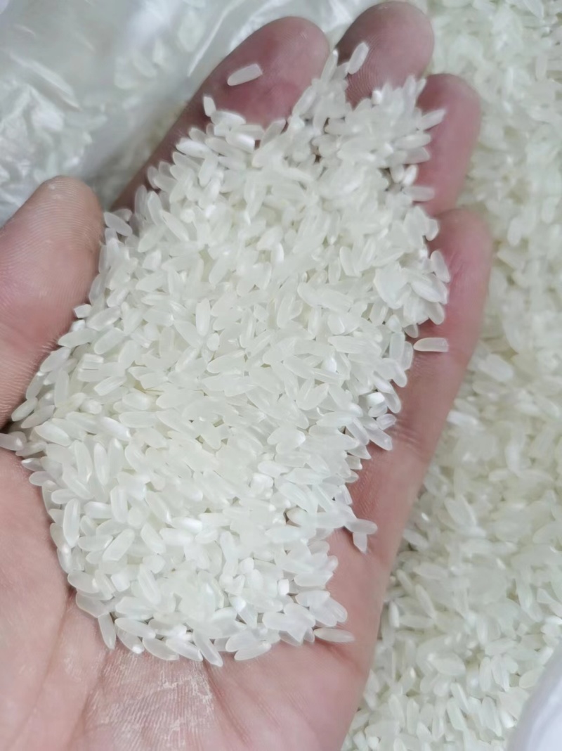 精品珍珠米长粒香厂家现货陈米圆粒米货源充足