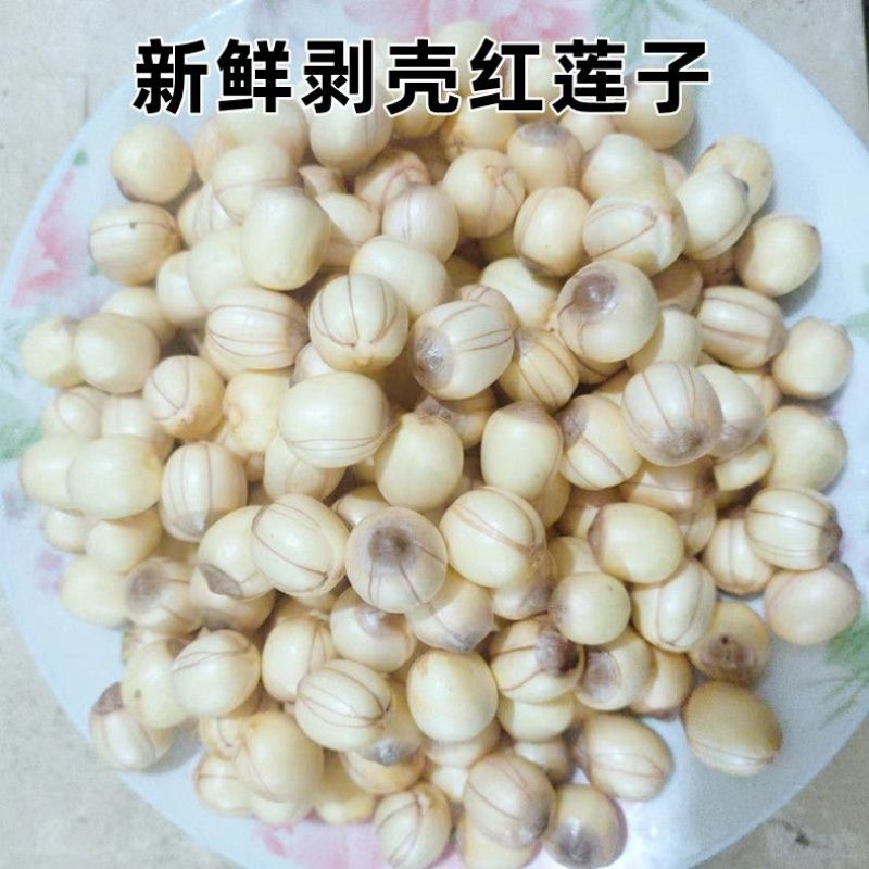 新鲜红莲子带心鲜货去壳不带莲蓬带心白莲子粉糯大量批发代发