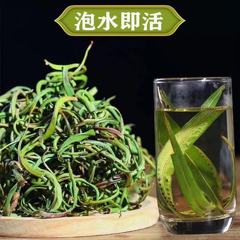 化石草云南精选野生化石草晒干高海拔中草药新货原生态新鲜纯