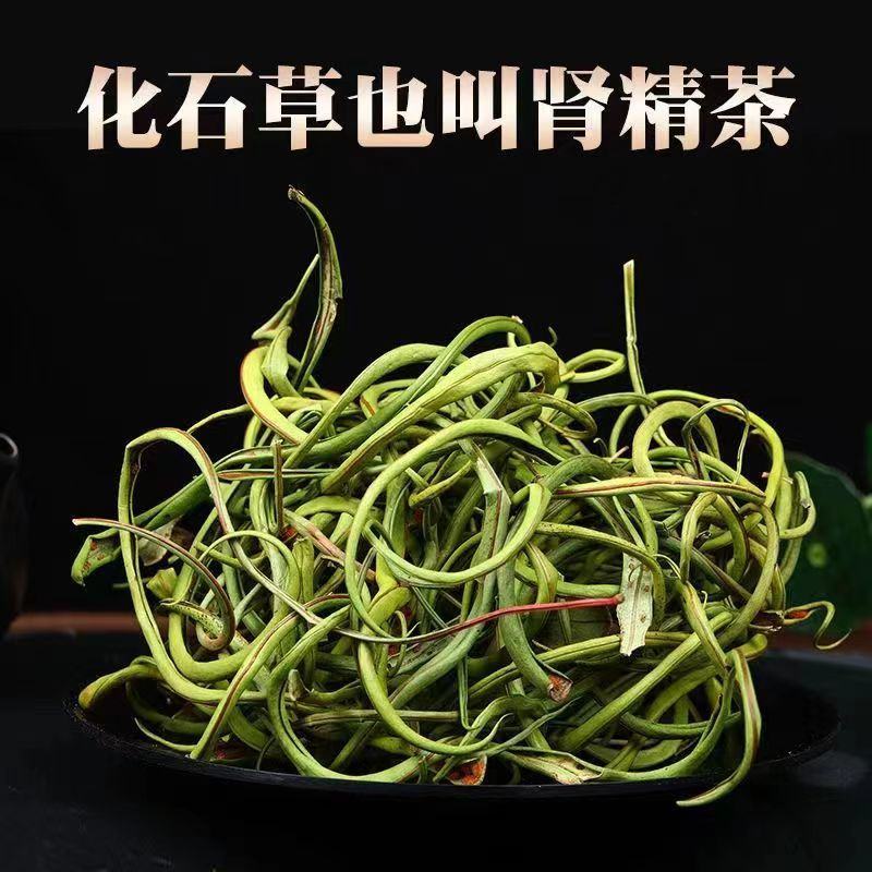 化石草云南精选野生化石草晒干高海拔中草药新货原生态新鲜纯