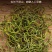 化石草云南精选野生化石草晒干高海拔中草药新货原生态新鲜纯