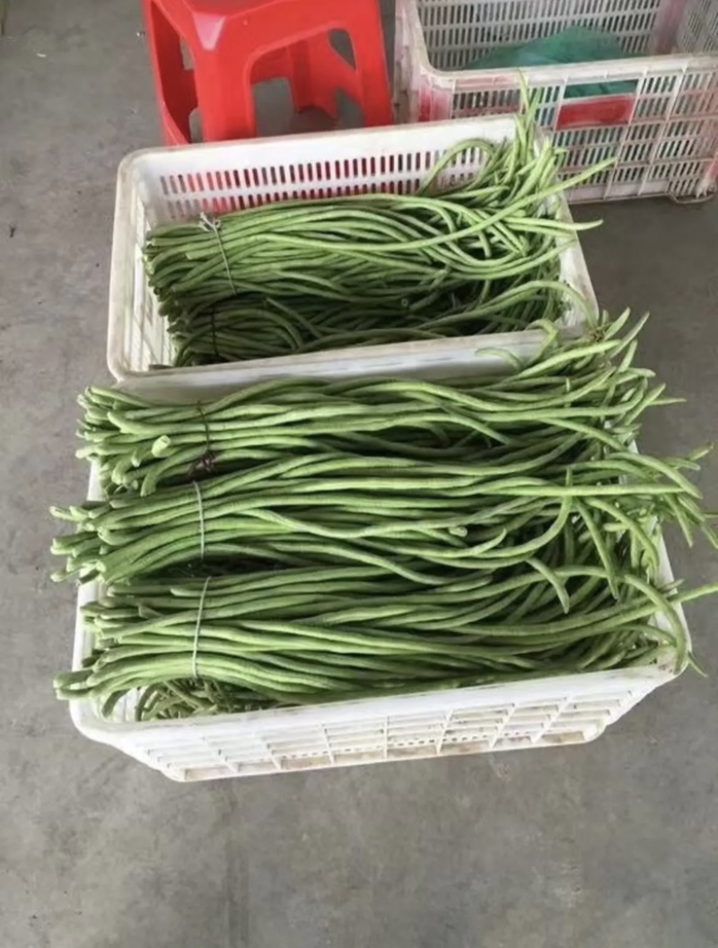 豆角