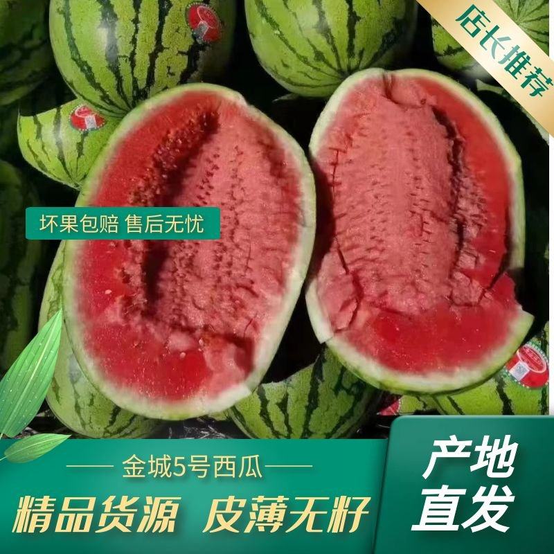 [金城5号西瓜批发]宁夏中卫中宁县西瓜 0.56元/斤宁夏石头瓜 _ 一亩田