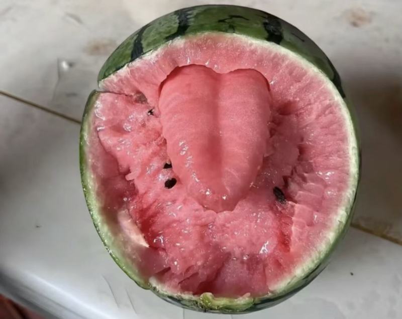 精品美都西瓜，万亩8424，产地直发，保熟保甜