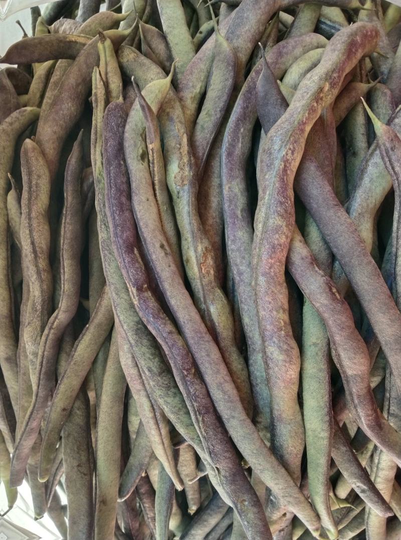 豆王，锅里变，白友谊等
