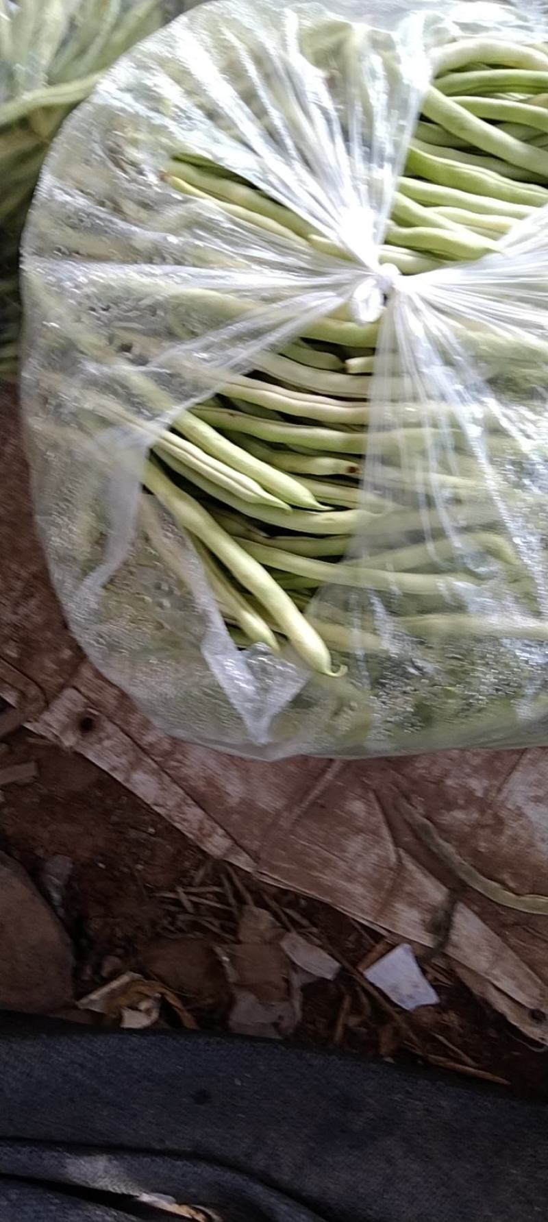 豆王，锅里变，白友谊等