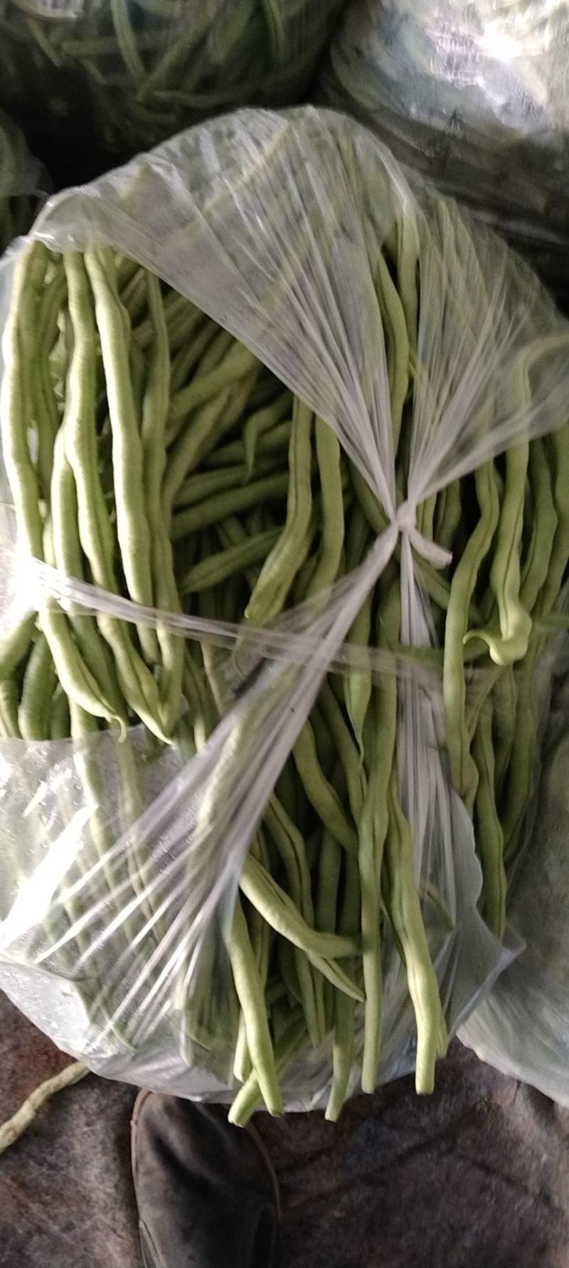 豆王，锅里变，白友谊等