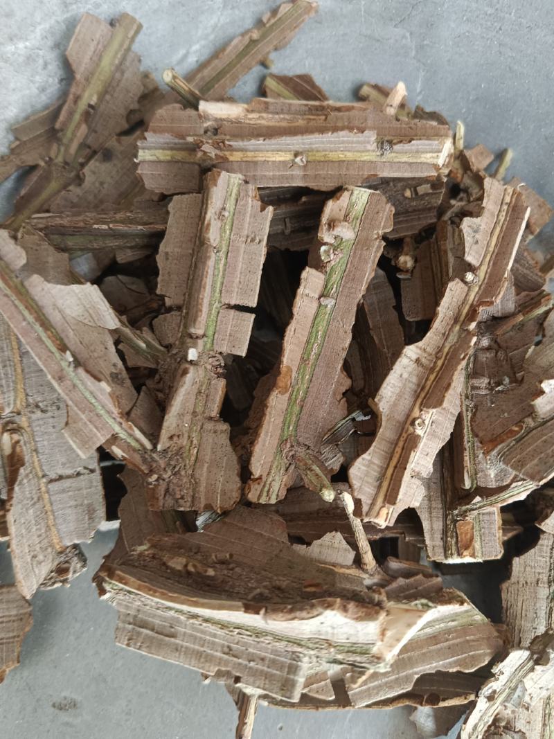 鬼箭羽，新货，鬼见羽，实拍啊24小时内发货