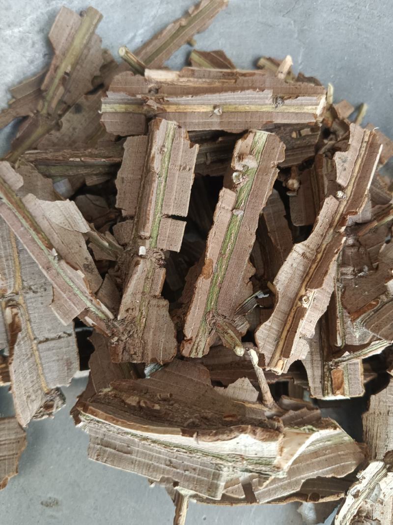 鬼箭羽，新货，鬼见羽，实拍啊24小时内发货