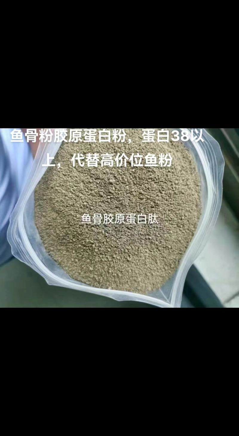 肉粉适合禽类水产类