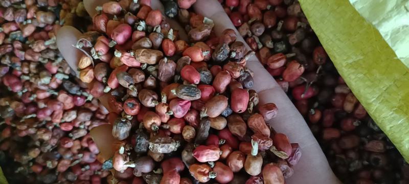 红豆蔻
