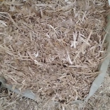 《推荐》新乡麦秸秆大量上市中!产地实发一手货源!!