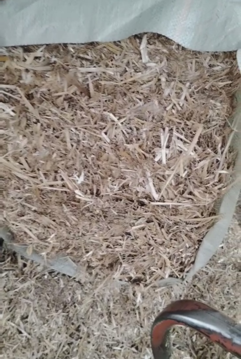 《推荐》新乡麦秸秆大量上市中！产地实发一手货源！！