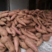 龙九开封龙薯九号红薯开始供应沙地红薯承接商超社团
