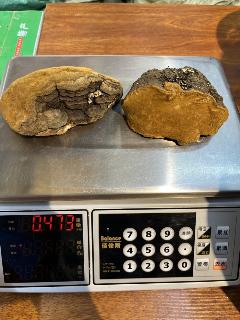【大货批发】西藏野生桑黄产地直供价格优势，各种规格