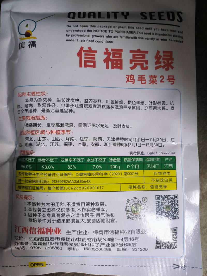 信福亮绿鸡毛菜种子高产抗病耐热