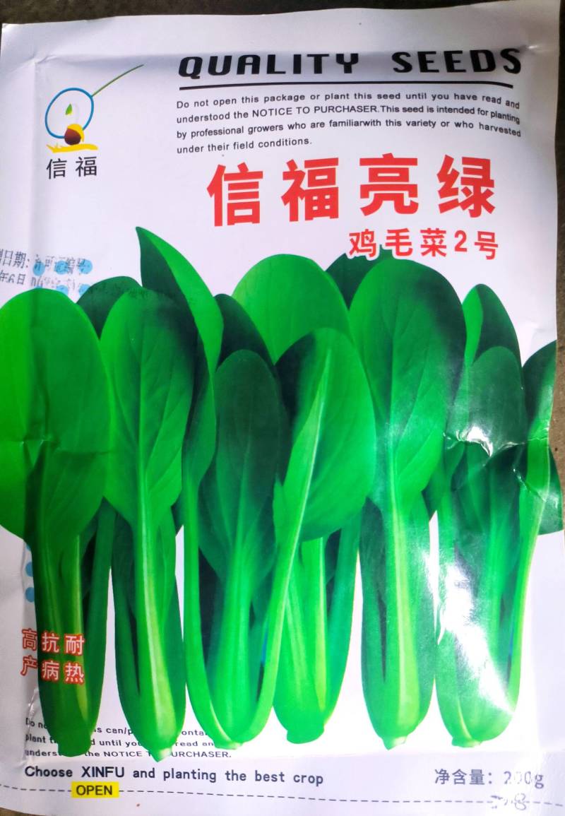 信福亮绿鸡毛菜种子高产抗病耐热