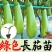 青茄子苗绿茄子苗绿冠茄子苗绿长茄子苗绿灯泡茄子苗包回收