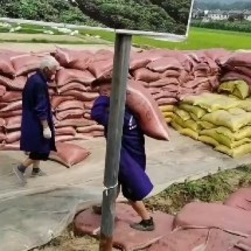 甘肃古浪黄花滩发酵纯羊粪量大从优质量稳定欢迎订购