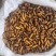 C级金丝蚕蛹干蛹茧蛹鲜蚕蛹常年批发零售黑头无味