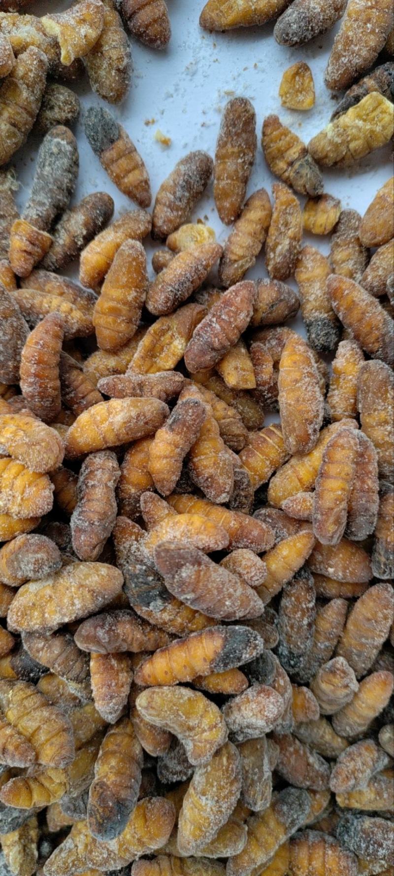 C级金丝蚕蛹干蛹茧蛹鲜蚕蛹常年批发零售黑头无味