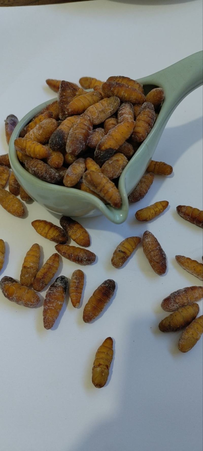C级金丝蚕蛹干蛹茧蛹鲜蚕蛹常年批发零售黑头无味
