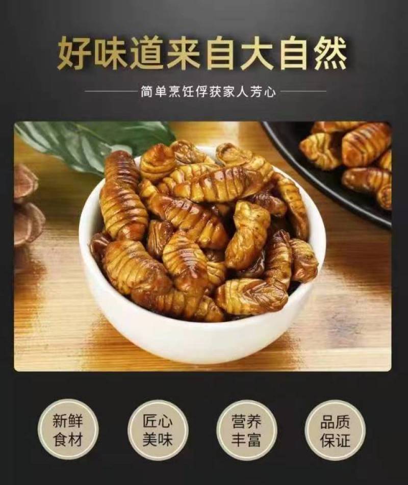 干蛹金丝蚕蛹鲜蚕蛹茧蛹山东批发零售