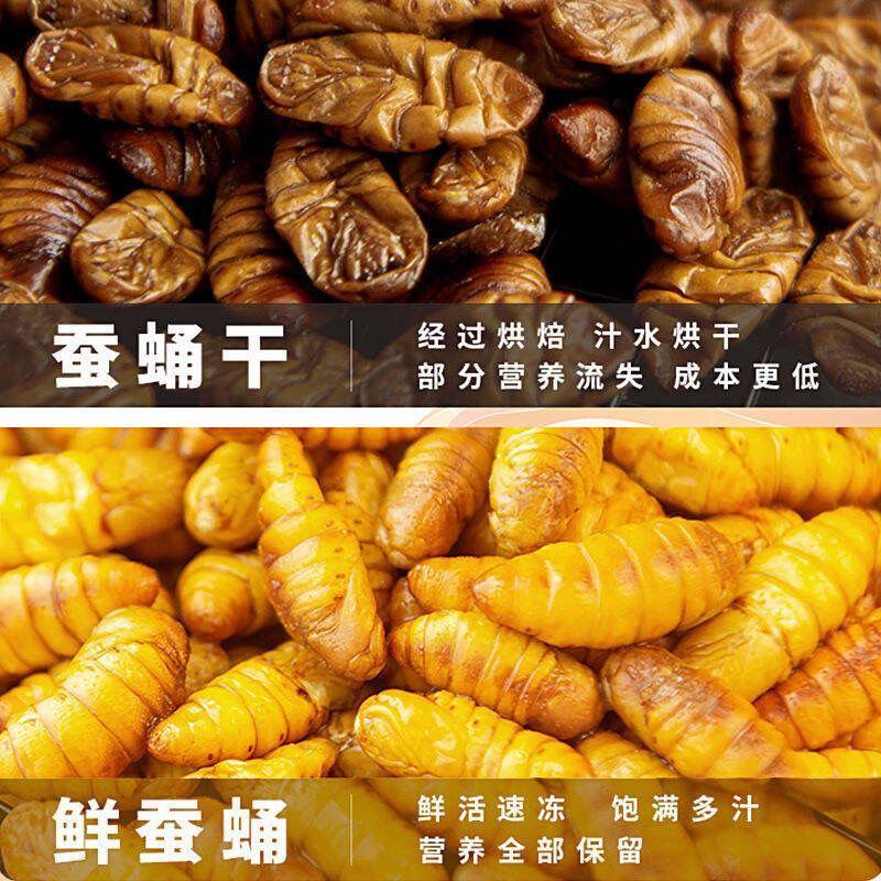 干蛹金丝蚕蛹鲜蚕蛹茧蛹山东批发零售