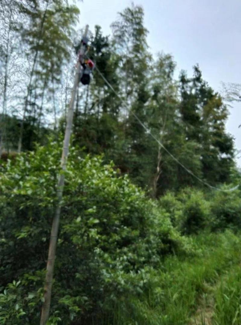 【牛商推荐】精品野生土蜂蜜，原始大山里的精品蜜，欢迎采购