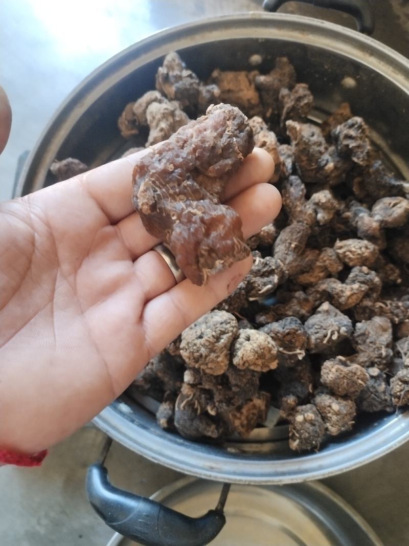 九蒸九晒黄精
