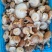 香菇（统货）辽宁香菇合作社直发，货量充足，各种规格均有。