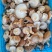 香菇（统货）辽宁香菇合作社直发，货量充足，各种规格均有。