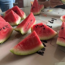 九一丘老陈家西瓜