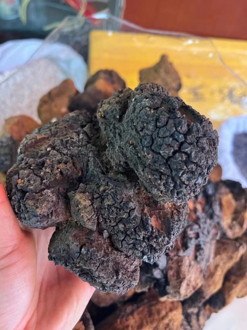 桦树茸白桦茸黑精颗粒欢迎选购大货批发