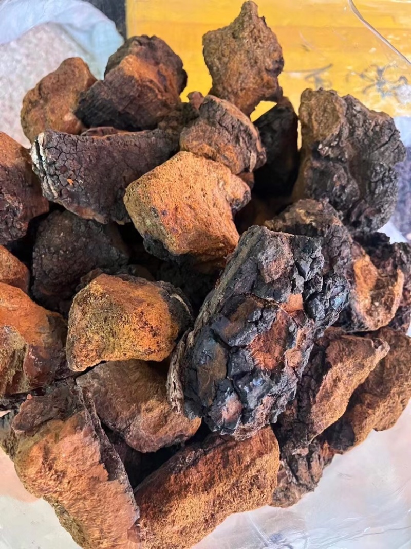 桦树茸白桦茸黑精颗粒欢迎选购大货批发