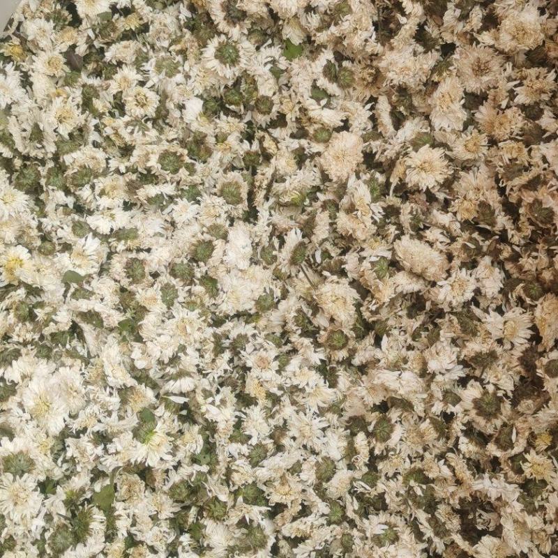 黄山贡菊一手货源量大从优！欢迎订购。
