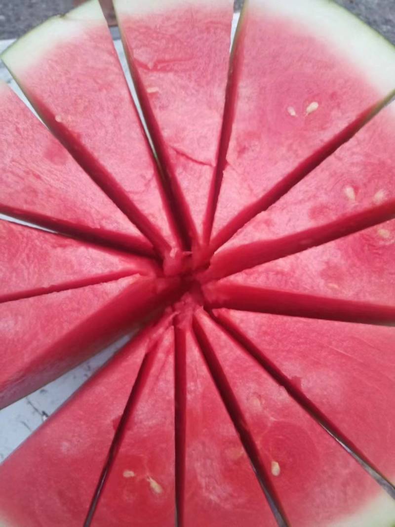 精品西瓜湖北黑皮无籽西瓜货源充足量大从优欢迎咨询