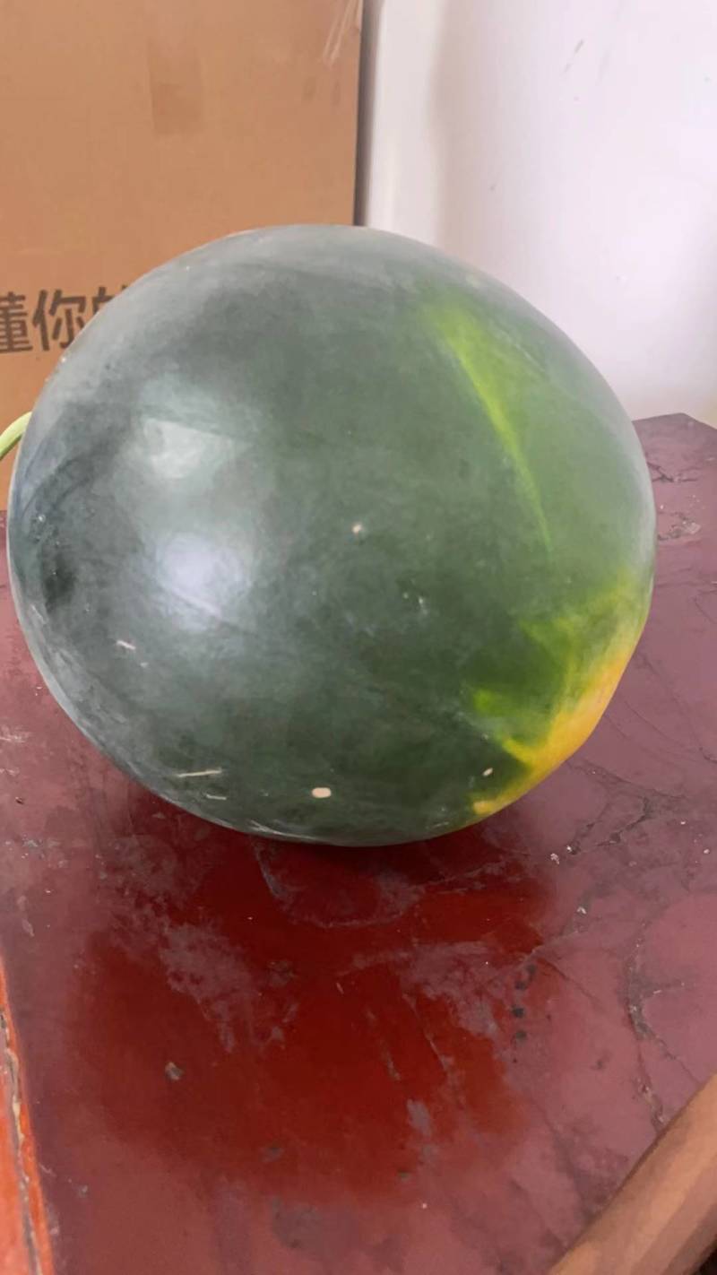 精品西瓜湖北黑皮无籽西瓜货源充足量大从优欢迎咨询