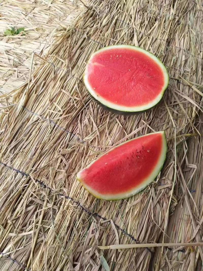精品西瓜湖北黑皮无籽西瓜货源充足量大从优欢迎咨询